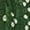 Bronze Green, variant on Indian Dupatta from Jaipur with Tie-dye Print Dupatta Scarve/Silk Bandhani Bandhej Dupatta/Boho Bandhni Stole/Wedding Favor