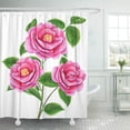 thumbnail image 1 of ABPHQTO Colorido Flor Acuarela Rama Camelia Verde Cumpleaños Collage Botánico Lindo Baño Cortina de ducha 165x180 cm ABPHQTO PKNMT66x72Shower-144, 1 of 2