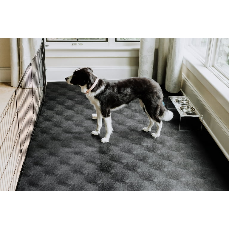 G-Floor 5 ft x 10 ft Vinyl Levant Pet Friendly Carpet Protector for Dogs &  Cats - Midnight Black 