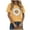 Yellow, variant on Womens Tops Round Neck Short Sleeves Daisy Print Summer Fitted Casual T-shirt Yellow M