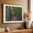 thumbnail image 5 of Hiking to the Lake on a Beautiful Autumn Afternoon - Pennsylvania Photography Forest Autumn Woodland Nature Scenic Landscape Wilderness Unframed Wall Art Print 16 x 24 inches, 5 of 7