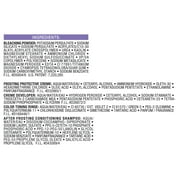 LOreal Paris Frost and Design Hair Highlights, H85 Champagne, 1 Kit, Precise