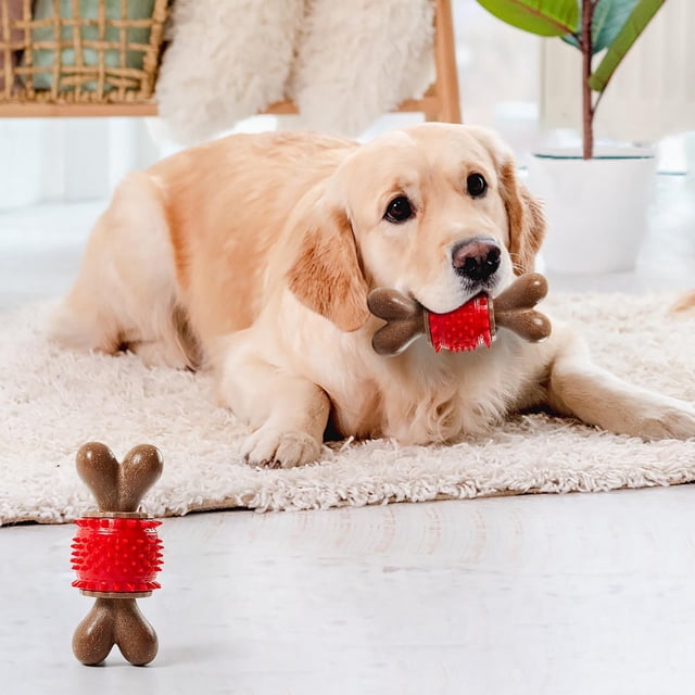 Kbndieu Friendly Chew Chew Toys for Aggressive Chewers Splinter-Free with Natural Wood Care Toys for Medium to Large Dogs Home Essentials