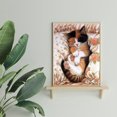 thumbnail image 4 of Wdftyju 5D DIY diamante pintura gato durmiendo taladro completo bordado cruz puntada imagen Wdftyju 3fj7ep6sv9qu1dn3, 4 of 9