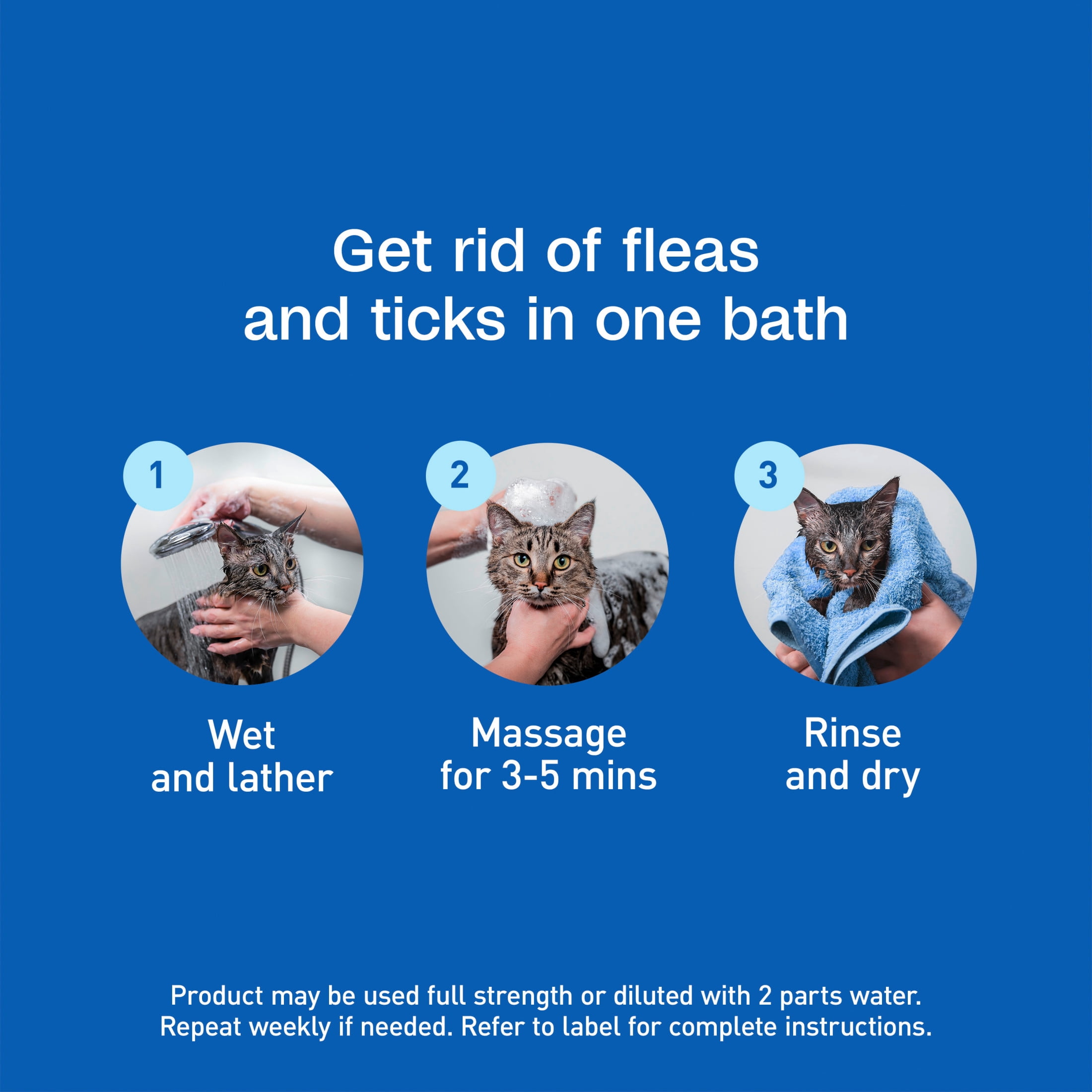 ADAMS Plus with Botanicals Flea & Tick Shampoo for Cats & Kittens, Flea Shampoo to Treat Flea Infestations, Soothes Dry Skin & Conditions Coat, Kills Adult Fleas, Flea Eggs, Ticks and Lice, 12 fl oz