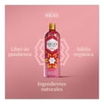 thumbnail image 4 of Shampoo Huichol Chile 400 ml, 4 of 4