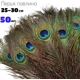 thumbnail image 1 of Plumas naturales de pavo real con ojo de gema, paquete de 50 piezas para decoración y manualidades, 1 of 6