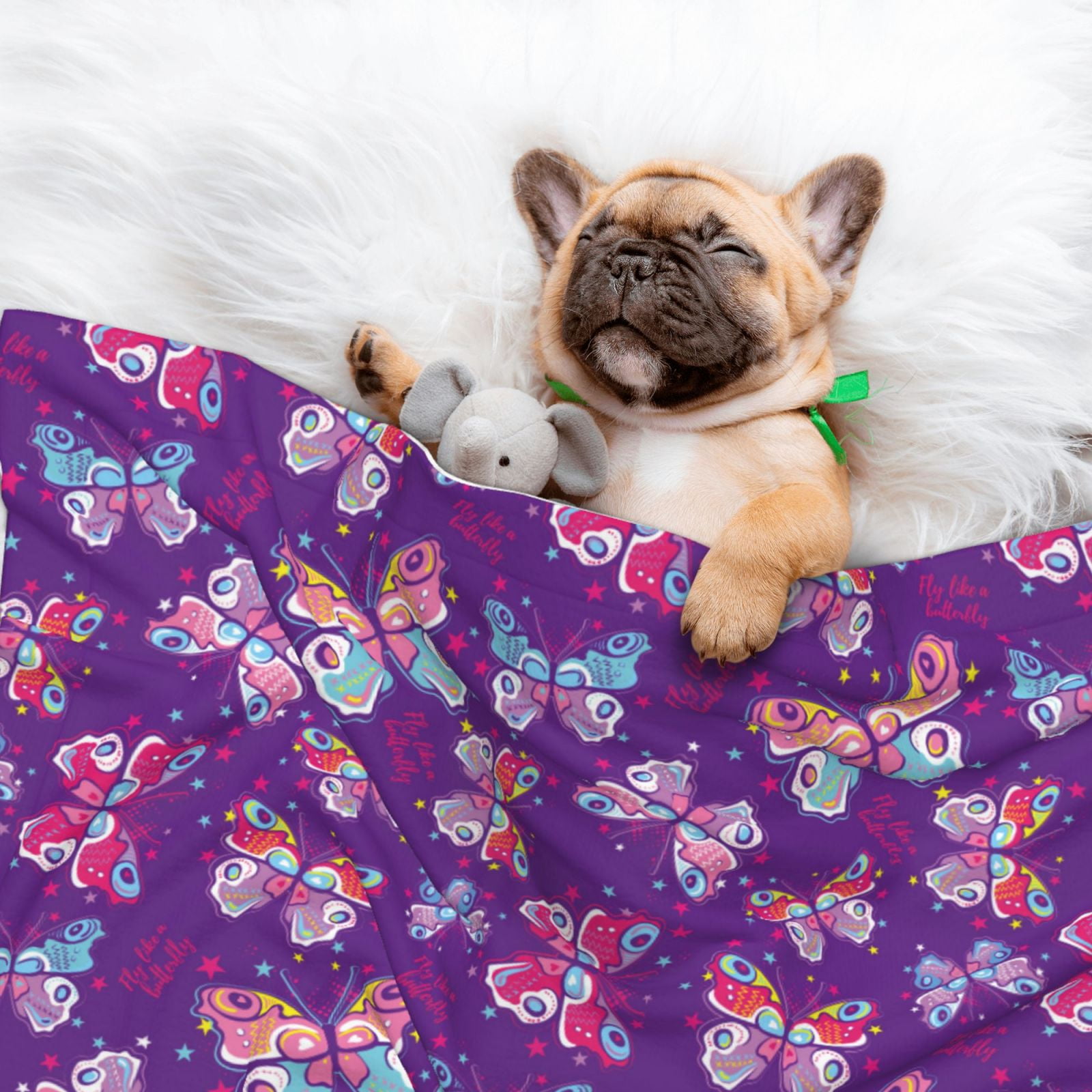 Naloa Bright Butterflies Dog Blanket, 3 Sizes Cat Blanket for Indoor Cats Large Medium Small Dog Gifts-Large
