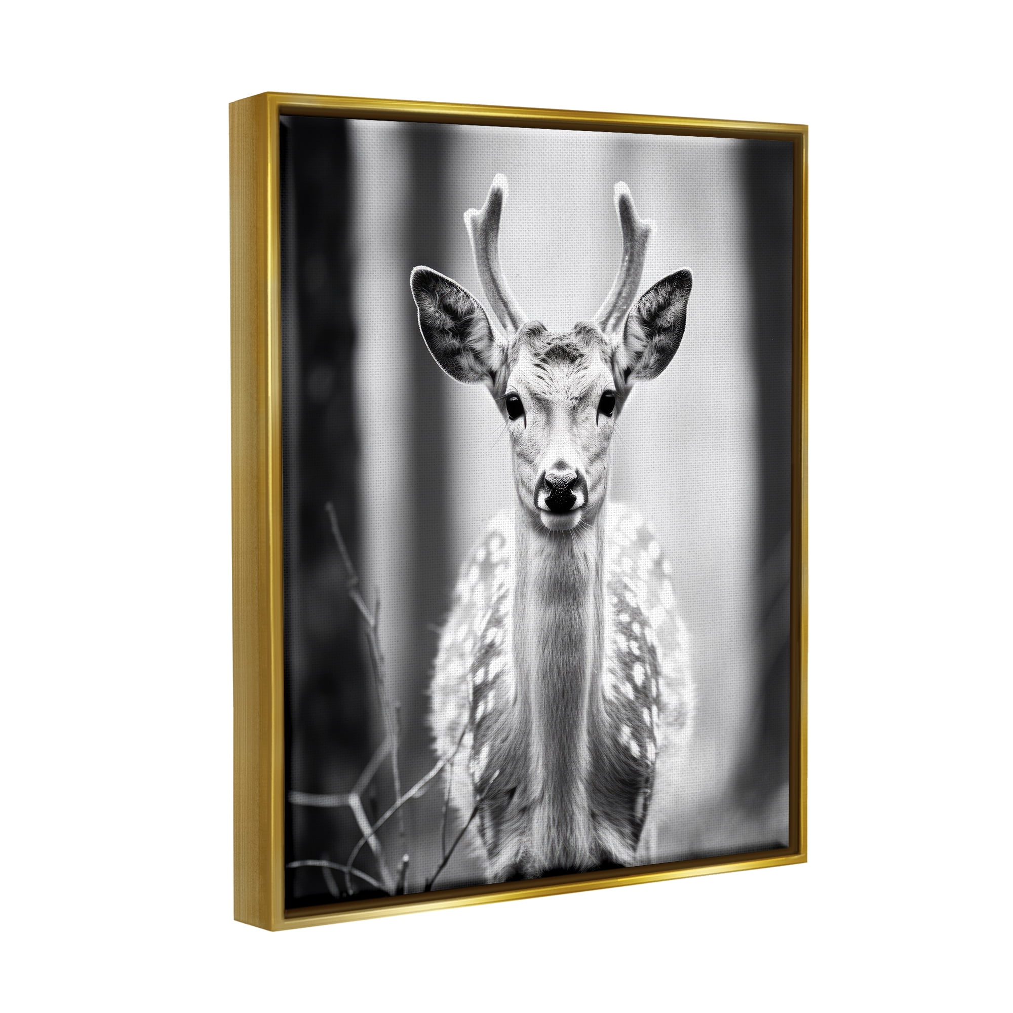 Stupell Industries Baby Fawn Photography Animals & Insects Photography Gold Floater Framed Canvas Art Print Wall Art, 17 x 21