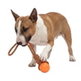 thumbnail image 1 of One Paw, Tug Rope & Ball Dog Toy, Tug of War, Orange, for Dogs, 1 of 6