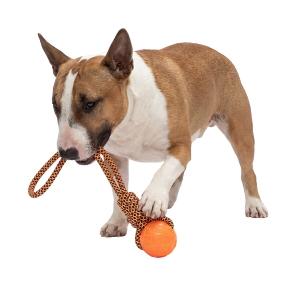 One Paw, Tug Rope & Ball Dog Toy, Tug of War, Orange, for Dogs