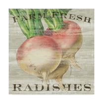 Trademark Fine Art 'Farm Fresh Radishes' Canvas Art by Sue Schlabach