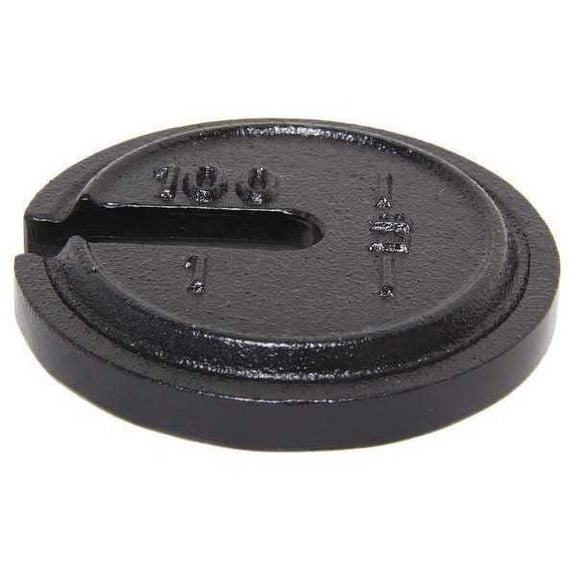 Rice Lake Weighing Systems Calibration Weight,100 x 1 lb.,Painted 10156