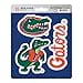 thumbnail image 3 of Florida Gators Ensemble de Décalcomanies d'Équipe, 3 of 4