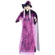 thumbnail image 1 of Bruja Colgante De Halloween Con Ojos Led Y Sonido Fantasma Decoración De Halloween Control De Voz Fantasma Colgante De Bruja Para Sala De Estar Puerta Del Porche Yuarrent HA037278-00, 1 of 6