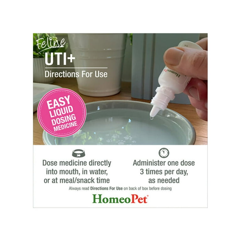Feline uti medicine hotsell