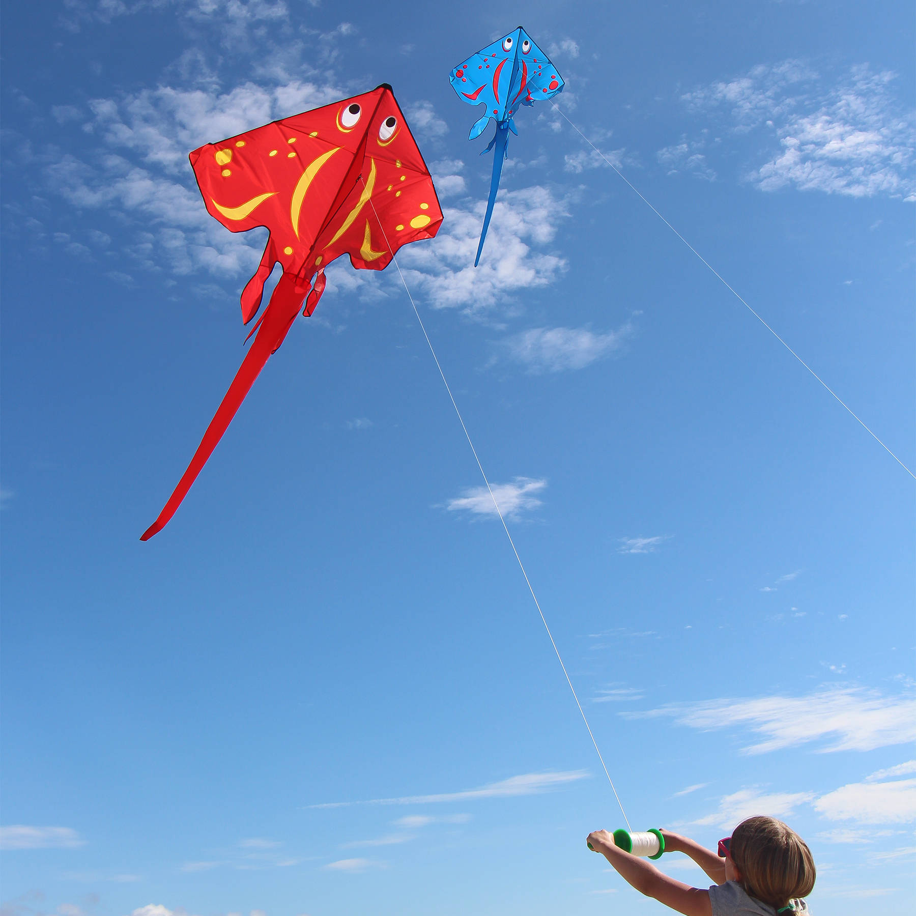 In the Breeze 3220 — Blue Stingray Kite - Large Single Line Kite - Ripstop Fabric - Kite Line and Bag Included