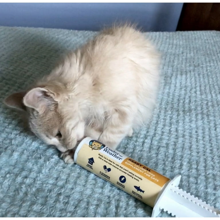 High calorie outlet booster for cats