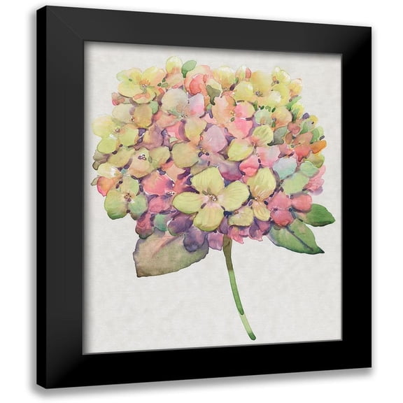 OToole, Tim 12x14 Black Modern Framed Museum Art Print Titled - Multicolor Floral II