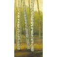 thumbnail image 3 of Joy, Julie 14x24 Black Modern Framed Museum Art Print Titled - Sunny Birch Grove II, 3 of 5