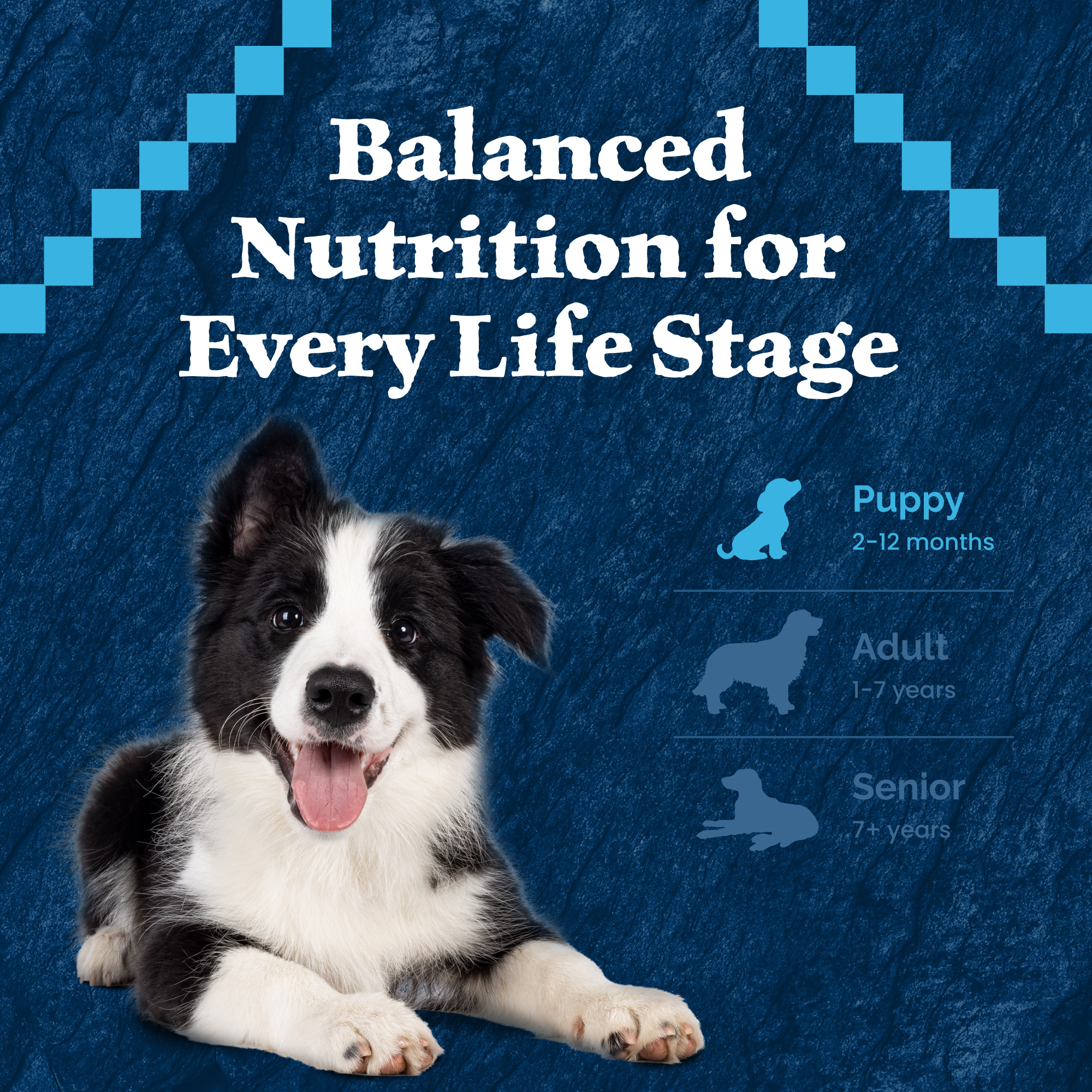 Blue Buffalo Wilderness Red Meat & Whole Grains Puppy Food, 4.5 lb photo 8