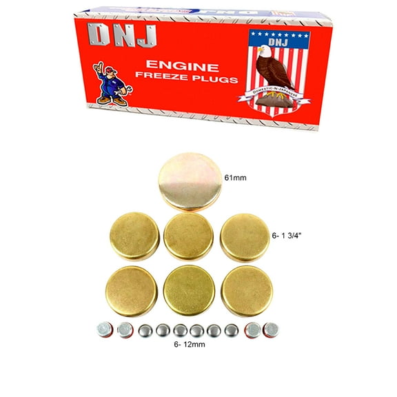 DNJ FPS4205 Expansion Plug Kit Fits Cars & Trucks 61-77 Ford Mercury 300 Caliente 6.4L OHV 16v