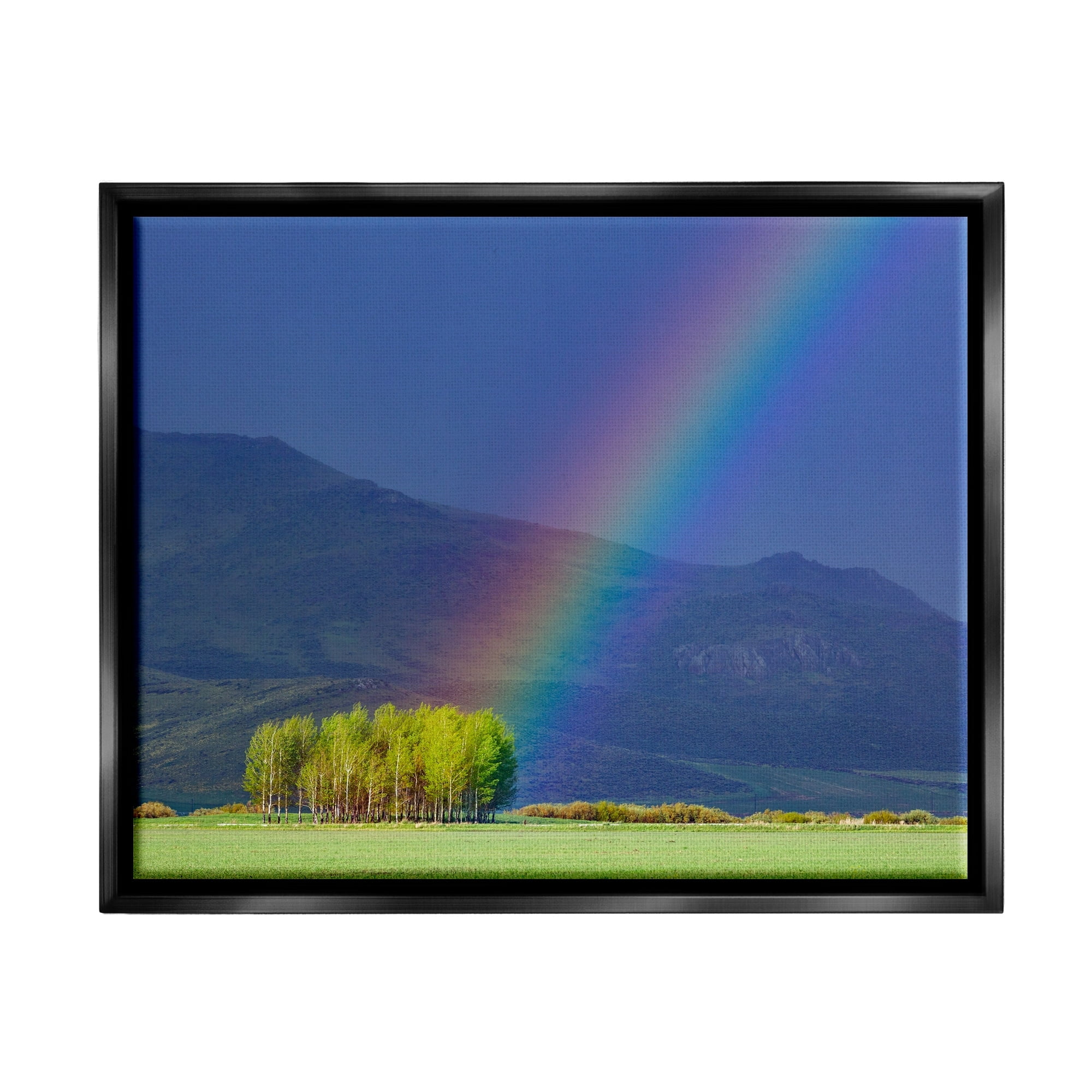 Stupell Industries Uplifting Rainbow Rays Tree Grove Mountain Landscape Photograph Metallic Gold Floating Framed Canvas Print Wall Art, Design by Steve Smith
