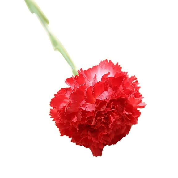Home Carnation Artificial Flowers Artificial Flowers Dy1-492 Red Fake Flowers, 1Pc Decorative Flowers Fake Flowers Small(Polyester, One Size)