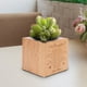thumbnail image 3 of Maceta Bonsai, Jardinera Suculenta Maceta Suculenta De Madera Linda Maceta Los Mejores Materiales, 3 of 8