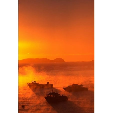 New Zealand Fishing Boats at sunrise Stewart Island Canvas Art - David Wall  DanitaDelimont (11 x