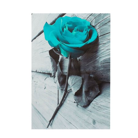 Large Wall Pictures (Unframed Back White Teal Rose Flower Floral Canvas Large Wall Art Painting Picture Home Decor Require a)