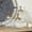 Clear Solid Biblical Round S/3 15", 13", 11"H, variant on DecMode 15", 13", 11"H Clear Glass Decorative Jars, 3-Pieces