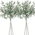 thumbnail image 2 of 6PCS Artificial Olive Branches for Vase 34 Inch Fake Plants Olive Branch Leaves Long Stems with Fruits for Floral Arrangement Home Decor Table Centerpiece Living Room(Vase Not Included), 2 of 12