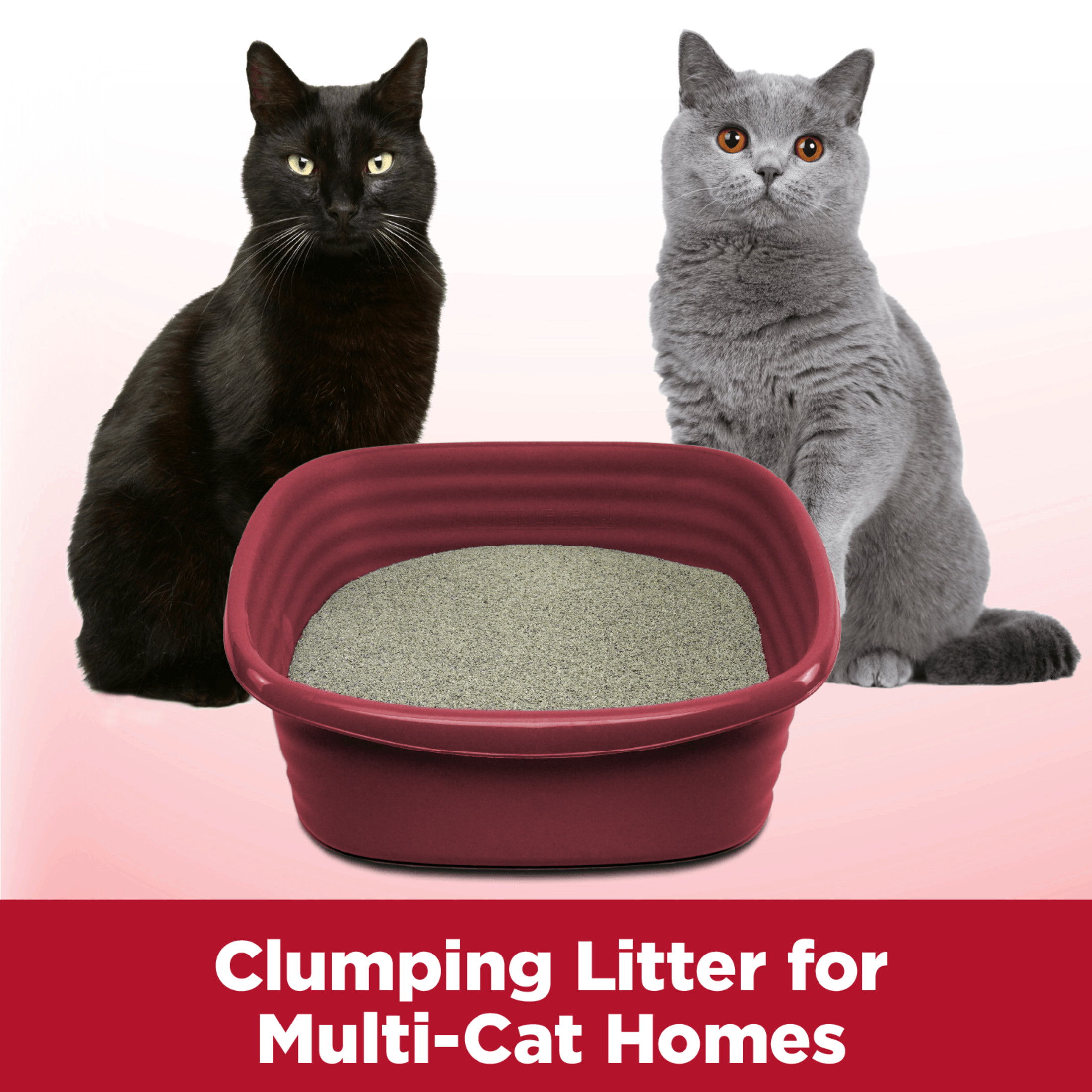 ARM & HAMMER Clump & Seal Multi-Cat Odor Sealing Litter, 38 lb photo 4