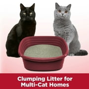 ARM & HAMMER Clump & Seal Cat Litter Multi-Cat Complete Odor Sealing Clay Clumping Cat Litter, 28 lb