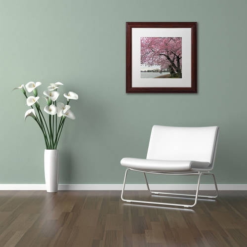 Trademark Fine Art "Tidal Basin Blossoms" Canvas Art by CATeyes, White Matte, Wood Frame