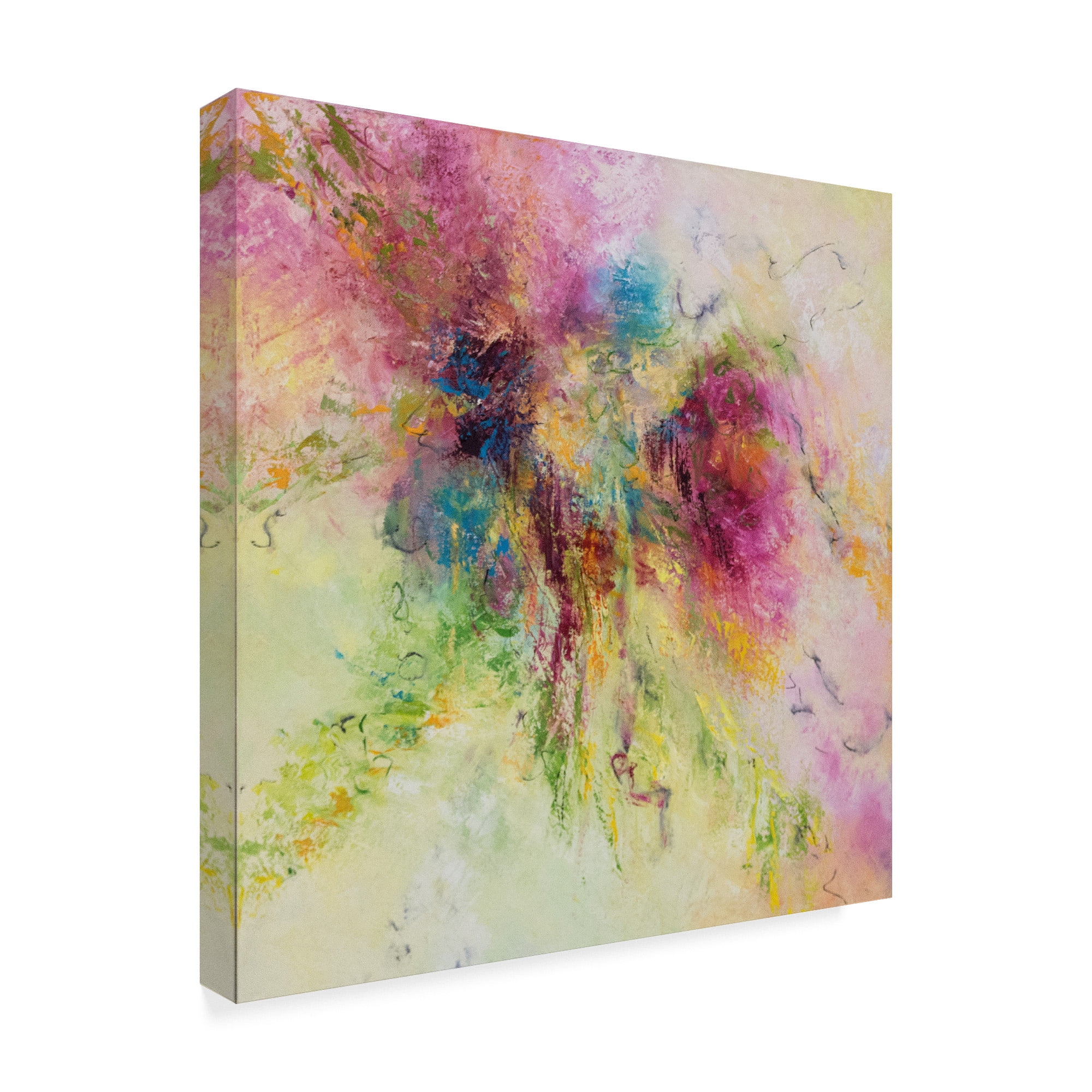 Trademark Fine Art 'A Walk in the Garden' Canvas Art by Aleta Pippin