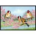 thumbnail image 1 of Carolines Treasures ASA2202JMAT European Goldfinch Indoor or Outdoor Mat- 24 x 36, 1 of 4