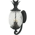 thumbnail image 5 of Acclaim Lighting 7501 2 Light 18" Height Pineapple Outdoor Wall Sconce From The, 5 of 15