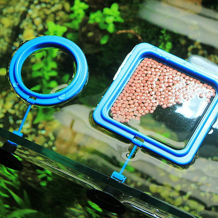 Aquarium fish 2025 feeding ring