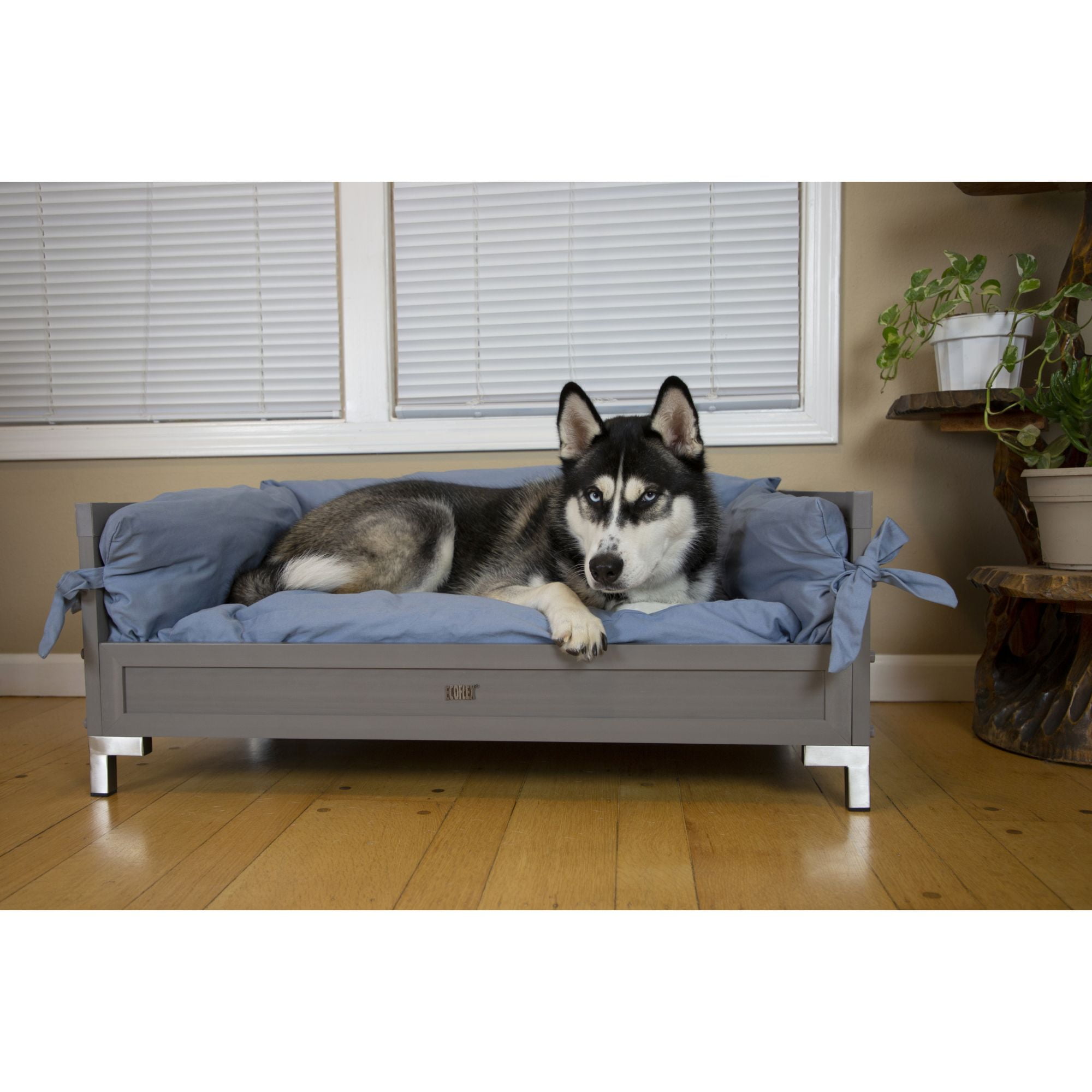 New Age Pet ECOFLEX® Manhattan Raised Dog Bed, Memory Foam Cushion in L or XL