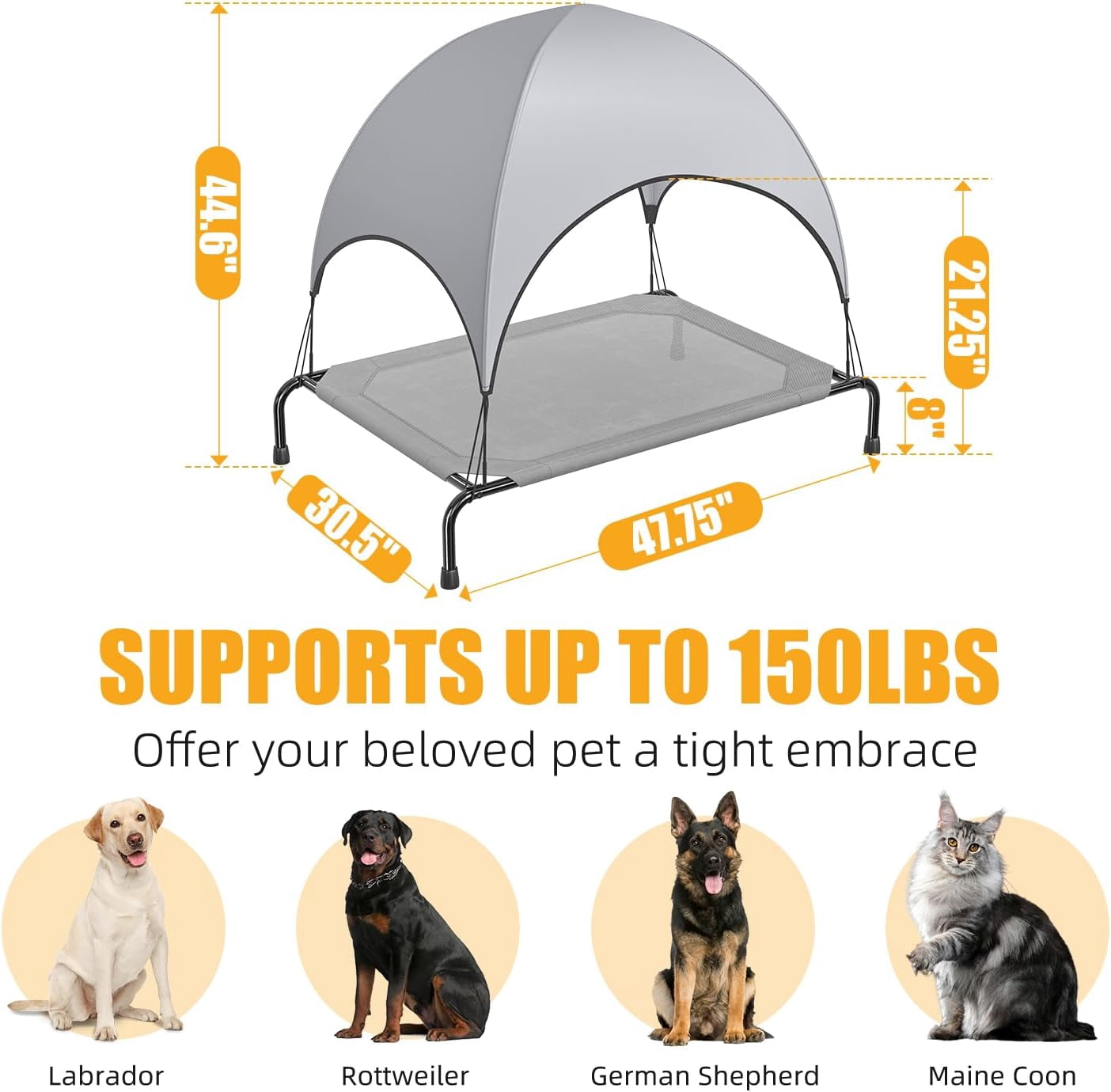 General Raised Dog Bed for Large Dogs with Canopy, Waterproof Elevated Dog Bed, Breathable Big Pet Cot, Grey