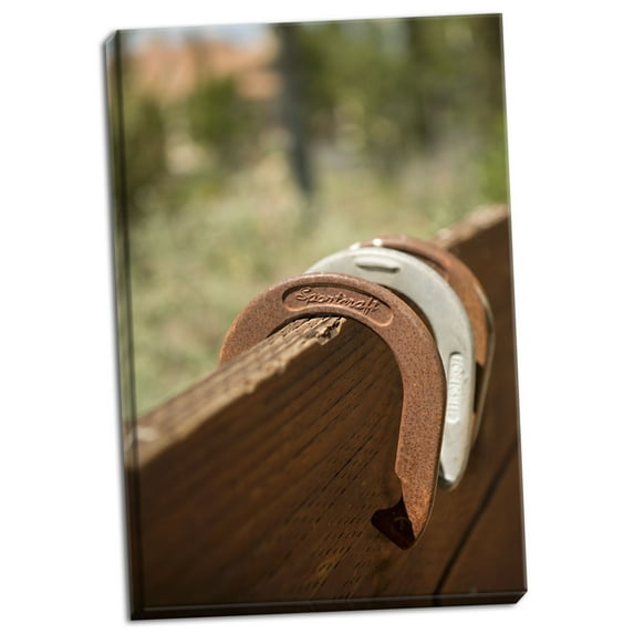 Gango Home Decor Horse Shoes by Karyn Millet (Ready to Hang); One 24x36in Hand-Stretched Canvas