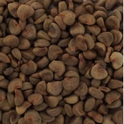 100+ Roselle Seeds (Hibiscus sabdariffa) – Florida Cranberry, Jamaican Sorrel, October Hibiscus – Heirloom Red Sorrel for Herbal Tea, Jams & Garden Planting