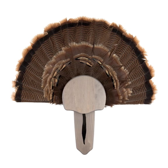 Foggy Bottom Woodworks LLC Solid Wood Rustic Turkey Mount Kit