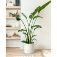 thumbnail image 5 of BEMAY 12" Ceramic Plant Pot, Large Indoor Outdoor Planter for Plants, Mid-Century Modern White Flower Pot with Drainage Hole and Plug (Plant Not Included), 5 of 9