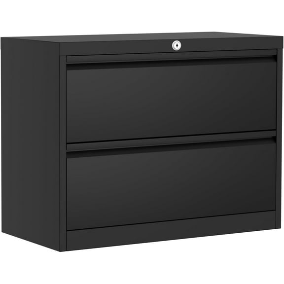 Historyli 2-Drawer File Cabinet with Lock, Metal Lateral Heavy Duty File Storage for Letter/Legal Size Documents, for Home Office | Requires Assembly,Black