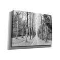 thumbnail image 2 of Epic Graffiti 'The Way Forward' by IMB, Canvas Wall Art, 54"x40", 2 of 8