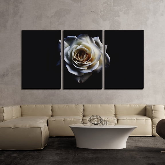 wall26 - 3 Piece Canvas Wall Art - White Rose in The Dark - Modern Home Art Stretched and Framed Ready to Hang - 24"x36"x3 Panels