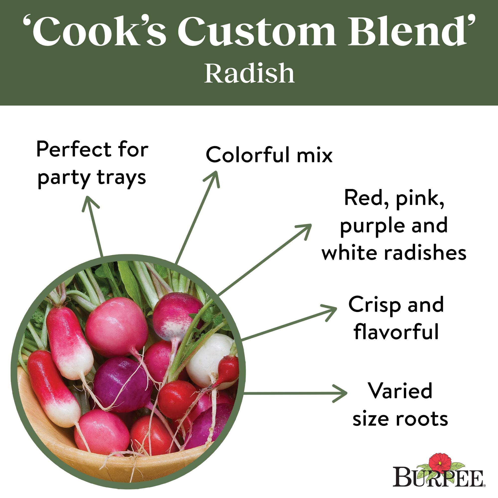 Burpee Cook's Custom Blend Radish Vegetable Seed, 1-Pack